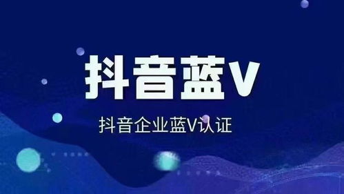 抖音seo优化 北京短视频优化公司